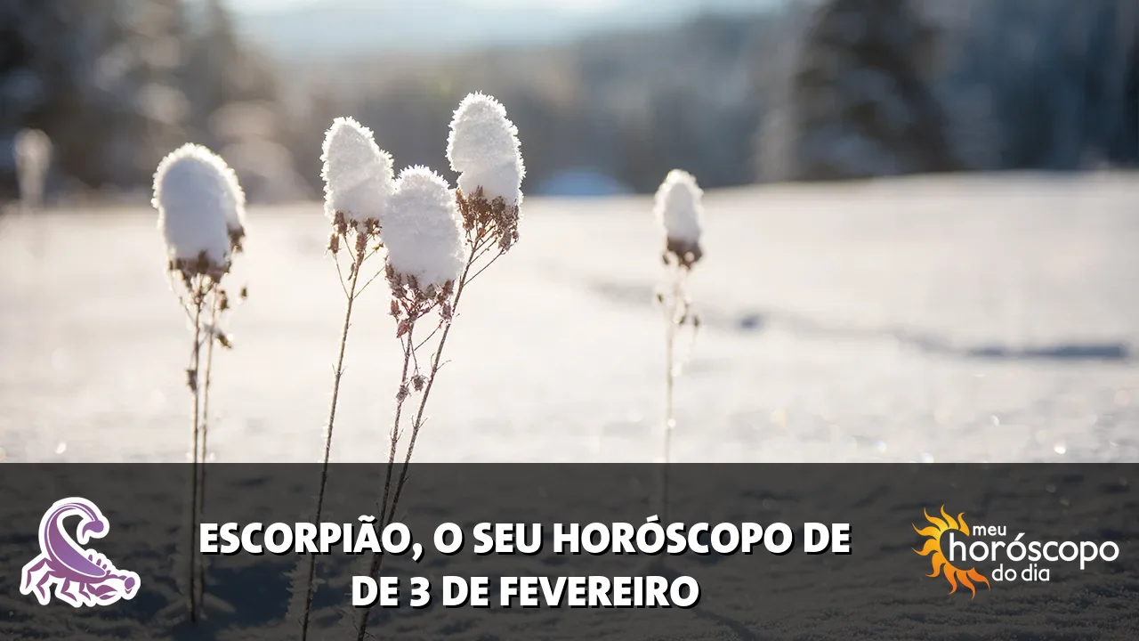 Horóscopo de Escorpião de terça-feira, 3 de fevereiro de 2026