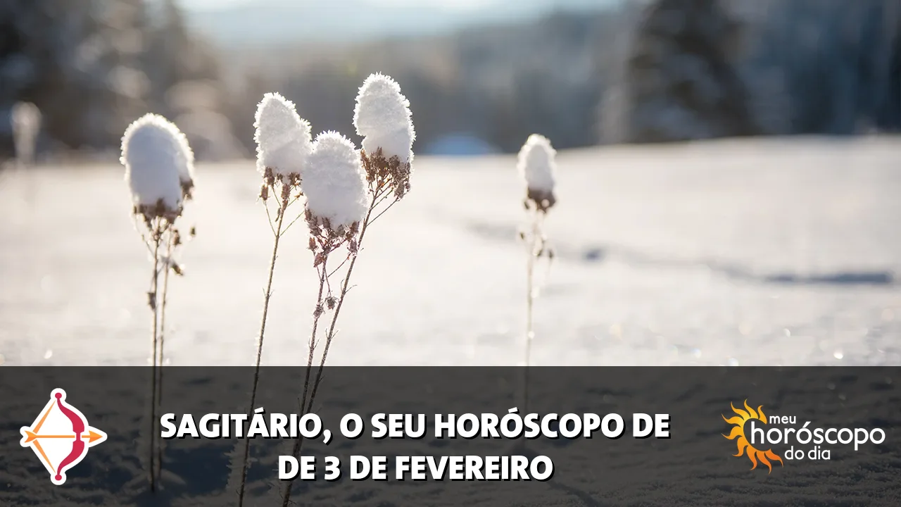 Horóscopo de Sagitário de terça-feira, 3 de fevereiro de 2026