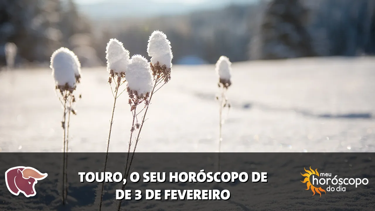 Horóscopo de Touro de terça-feira, 3 de fevereiro de 2026