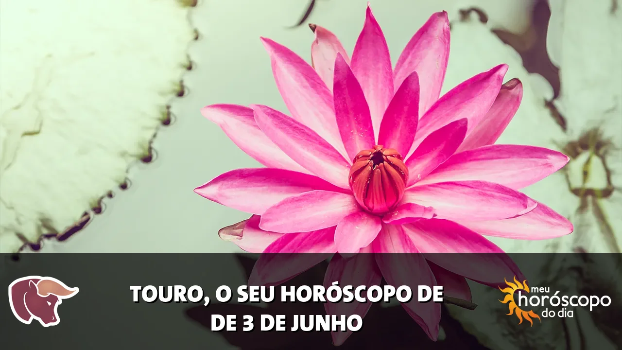 Horóscopo de Touro de quarta-feira, 3 de junho de 2026