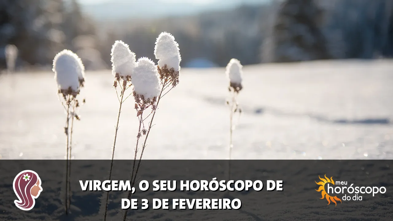 Horóscopo de Virgem de terça-feira, 3 de fevereiro de 2026