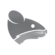 Rato