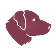 Cão