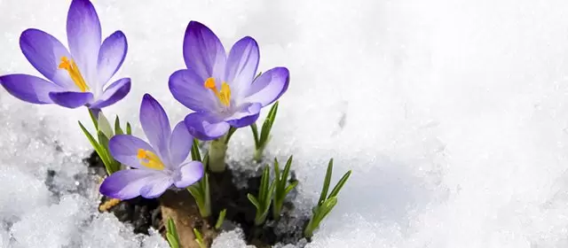 Horóscopo para Quarta-feira 7 Janeiro 2026