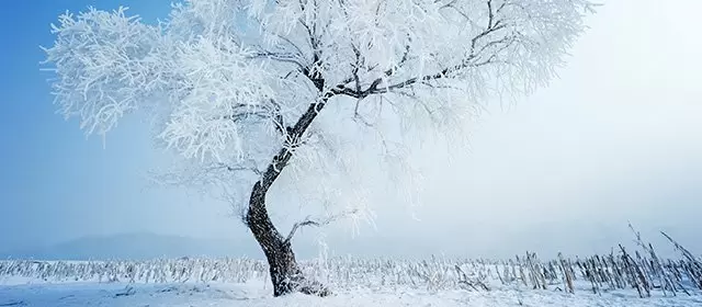 Horóscopo para Sexta-feira 9 Janeiro 2026