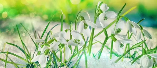 Horóscopo para Segunda-feira 12 Janeiro 2026