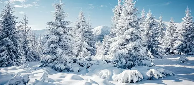 Horóscopo para Sábado 24 Janeiro 2026