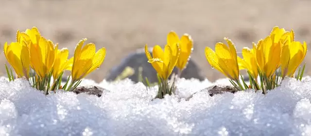 Horóscopo para Domingo 25 Janeiro 2026