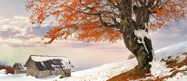 Horóscopo para Sábado 31 Janeiro 2026