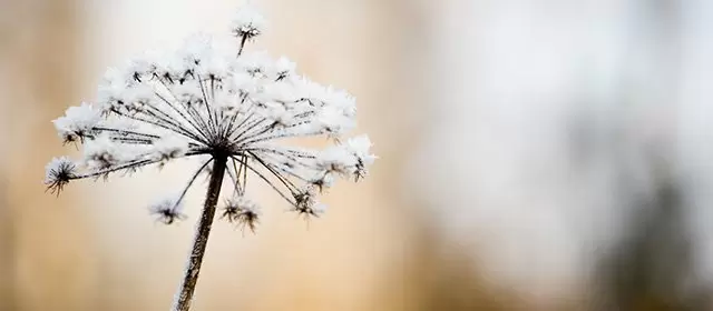 Horóscopo para Terça-feira 3 Fevereiro 2026