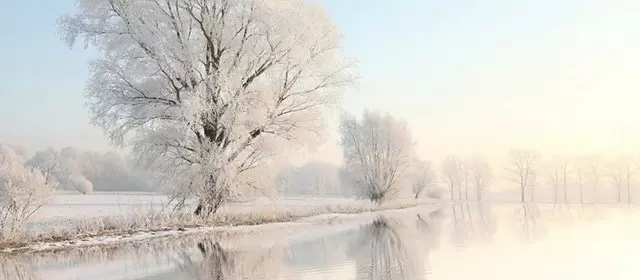 Horóscopo para Quarta-feira 4 Fevereiro 2026