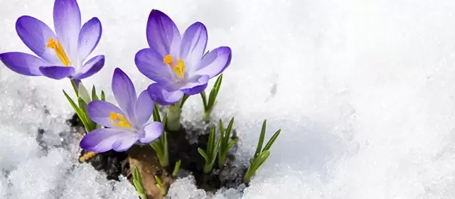 Horóscopo para Quinta-feira 5 Fevereiro 2026