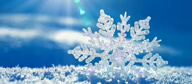 Horóscopo para  Sábado 7 Fevereiro 2026