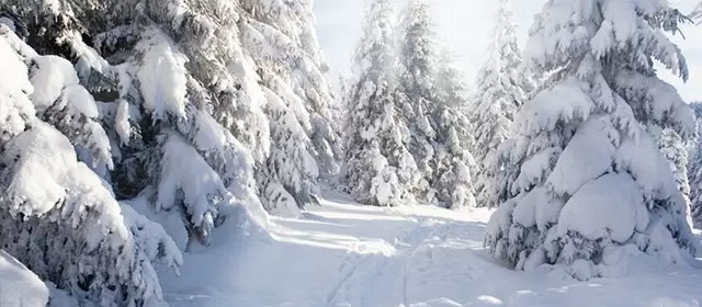 Horóscopo para  Quarta-feira 11 Fevereiro 2026