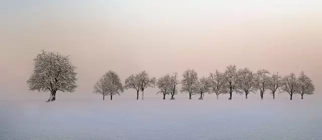 Horóscopo para Segunda-feira 16 Fevereiro 2026