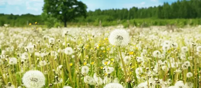 Horóscopo para Terça-feira 3 Março 2026