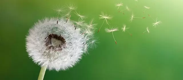 Horóscopo para  Quarta-feira 11 Março 2026