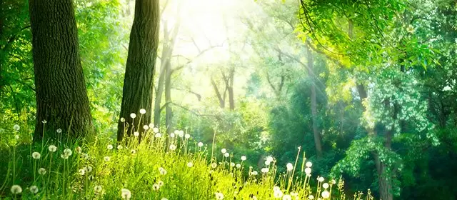 Horóscopo para  Sexta-feira 13 Março 2026