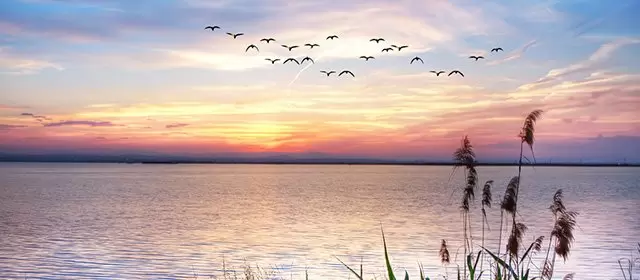 Horóscopo para  Segunda-feira 16 Março 2026