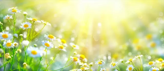 Horóscopo para  Quinta-feira 19 Março 2026