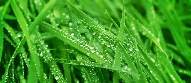 Horóscopo para  Sexta-feira 20 Março 2026