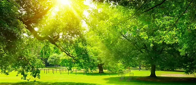 Horóscopo para  Domingo 22 Março 2026