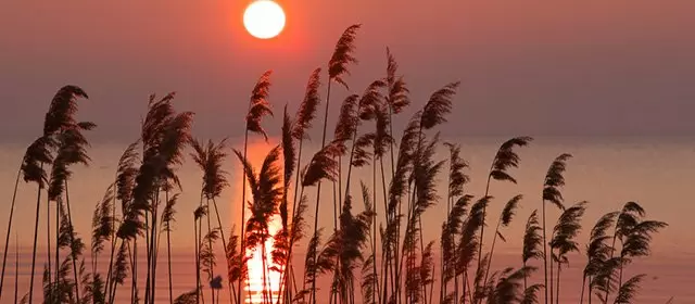 Horóscopo para Domingo 5 Abril 2026