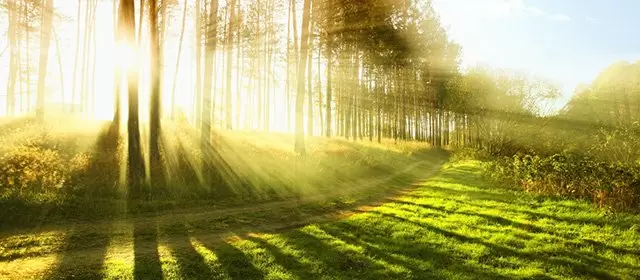 Horóscopo para  Terça-feira 7 Abril 2026