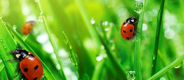 Horóscopo para Domingo 12 Abril 2026