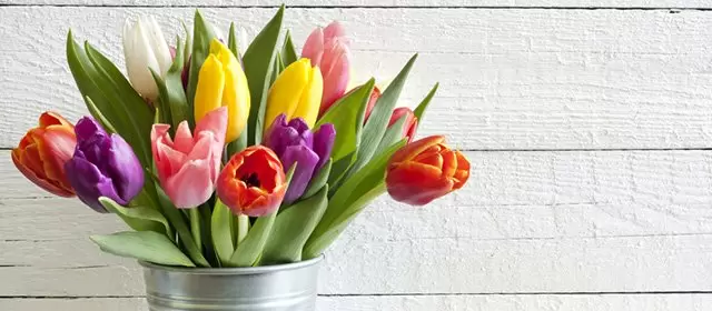 Horóscopo para  Terça-feira 14 Abril 2026