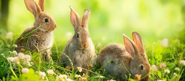 Horóscopo para  Quarta-feira 15 Abril 2026