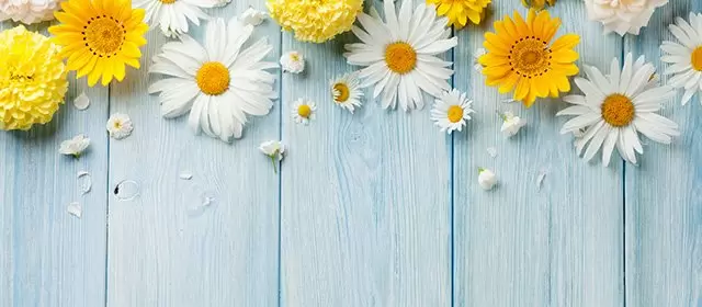 Horóscopo para Domingo 19 Abril 2026