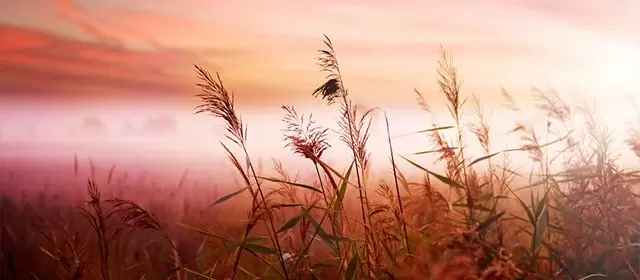 Horóscopo para  Terça-feira 5 Maio 2026