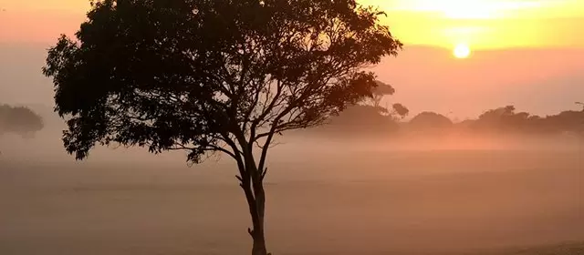 Horóscopo de  quarta-feira 2 de setembro de 2026