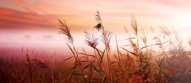 Horóscopo para Terça-feira 4 Novembro 2025