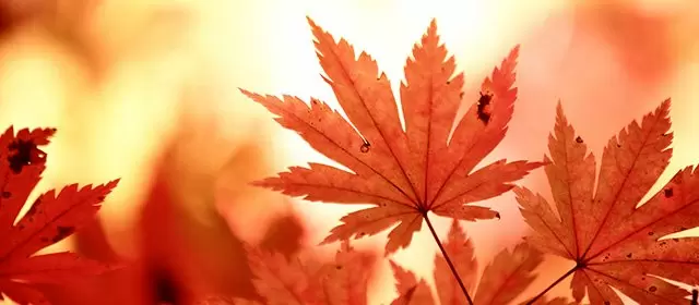 Horóscopo para Sábado 8 Novembro 2025