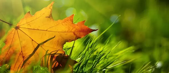 Horóscopo para Terça-feira 11 Novembro 2025