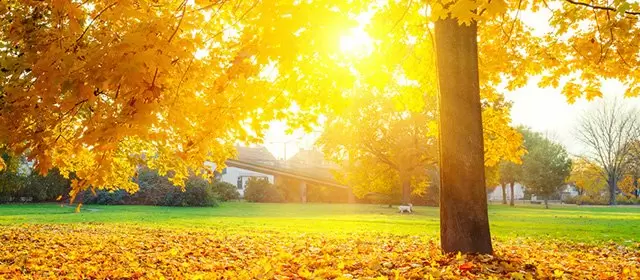 Horóscopo para Quarta-feira 12 Novembro 2025