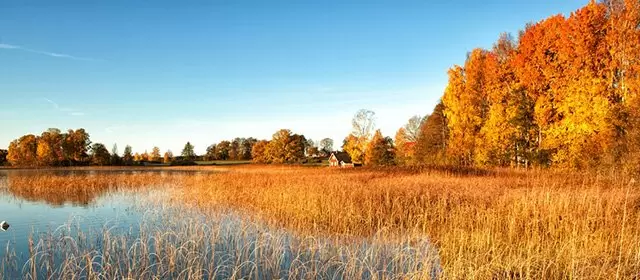 Horóscopo para Quinta-feira 13 Novembro 2025