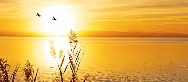 Horóscopo para Sexta-feira 14 Novembro 2025