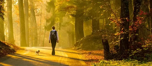 Horóscopo para Segunda-feira 17 Novembro 2025