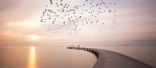 Horóscopo para Quinta-feira 20 Novembro 2025