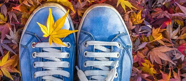 Horóscopo para Sexta-feira 21 Novembro 2025