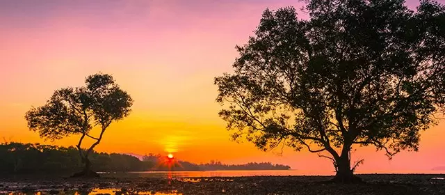 Horóscopo para  Sábado 22 Novembro 2025