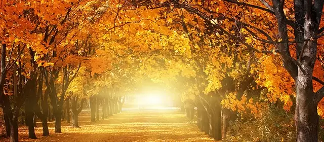 Horóscopo para Segunda-feira 24 Novembro 2025