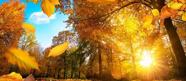 Horóscopo para Quarta-feira 26 Novembro 2025