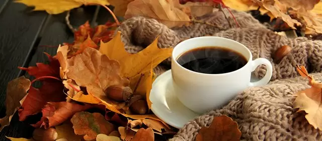 Horóscopo para Quinta-feira 27 Novembro 2025