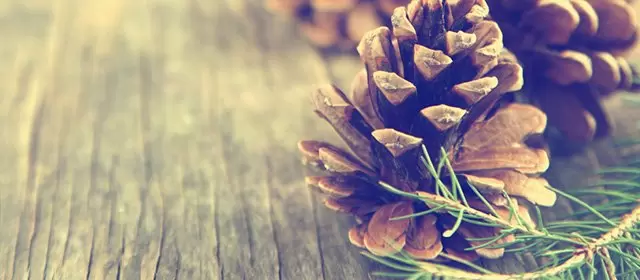 Horóscopo para Domingo 7 Dezembro 2025