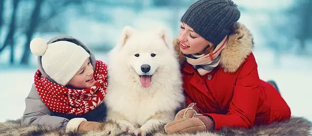 Horóscopo para Domingo 14 Dezembro 2025