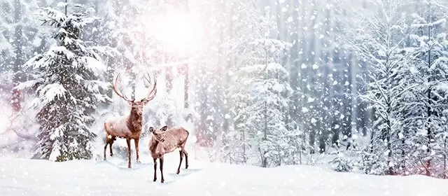 Horóscopo para Quarta-feira 17 Dezembro 2025